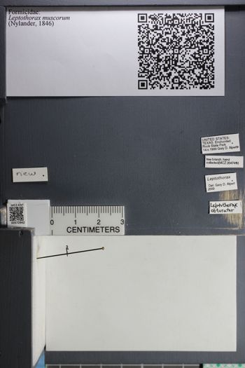 Media type: image;   Entomology 572942